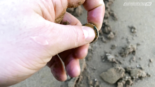 Легкие деньги. Испания. Выход первый / МДРегион