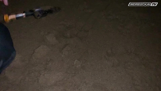 Легкие деньги. Испания. Выход первый / МДРегион