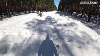 Ищем золото по наводке / МДРегион