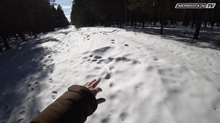 Ищем золото по наводке / МДРегион