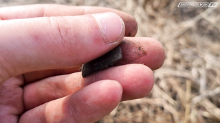 Minelab Vanquish. Поиск старой мельницы.