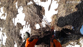 Minelab Vanquish. Марш-бросок по старым деревням.