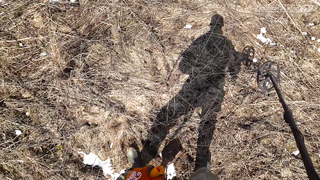 Minelab Vanquish. Марш-бросок по старым деревням.