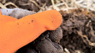 Minelab Vanquish. Поиск старой мельницы. Часть 2