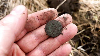 Minelab Vanquish. Поиск старой мельницы. Часть 2