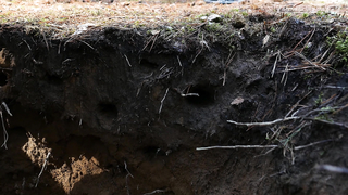 Металлоискатели Teknetics. Брать или не брать?