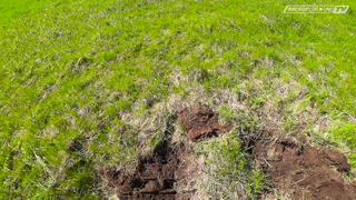 Minelab Go - Find 11. Чернуха. Фильм третий #3.