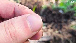 В ПОИСКАХ СТАРОЙ МЕЛЬНИЦЫ. ЧАСТЬ 3