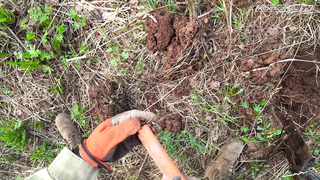 В ПОИСКАХ СТАРОЙ МЕЛЬНИЦЫ. ЧАСТЬ 3