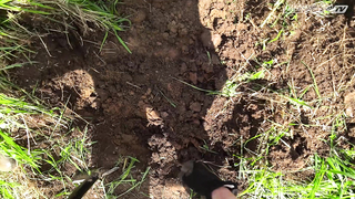 НОВАЯ РЕЗИНА НА НИВУ. ШУРФ 2020