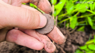 Добиваем старую деревню, ищем новую