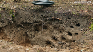 Катушка Nel Fly и весь модельный ряд. Новинка 2020 года