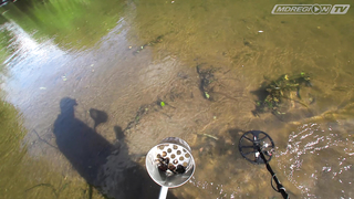 В поисках клада мельника. Minelab Equinox 800 и Minelab Vanquish 540.