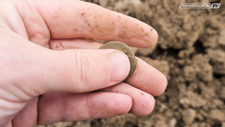 Коп с местными 2. Отзыв о прошивке Minelab Vanquish