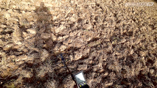 Тестируем Gauss MD. Коп на старом поселении.