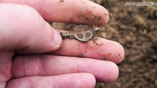 Minelab Vanquish против Minelab Equinox