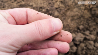 Minelab Vanquish против Minelab Equinox