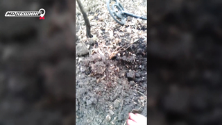 МДКЕШИНГ в Ростове-на-Дону. Жетон найден!