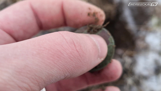 Закрытие сезона 2020. Minelab Vanquish и Minelab Equinox