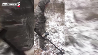 МДКЕШИНГ в Челябинске. Жетон найден!