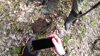 Открытие сезона 2021. Minelab Vanquish, Equinox, Катушки MDREGION и Coiltek