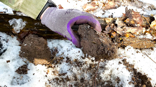 Открытие сезона 2021. Minelab Vanquish, Equinox, Катушки MDREGION и Coiltek