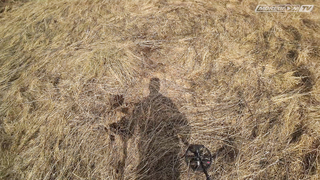 Залипуха монет и кладовой сохран с Minelab Equinox