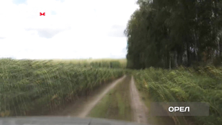 МДКЕШИНГ - Тула, Омск, Стерлитамак, Томск, Орел, Владимир