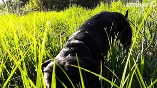 МДКЕШИНГ В Г. ТЮМЕНЬ 2021