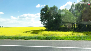 МДКЕШИНГ В Г. ГРОДНО 2021