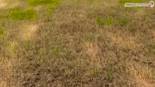 ПОИСК ЖЕТОНА В Г. ГРОДНО 2021