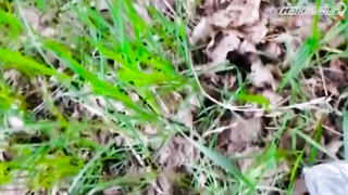 ПОИСК ЖЕТОНА В Г. ГРОДНО 2021