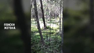 МДКЕШИНГ от МДРЕГИОН. Второй жетон найден!