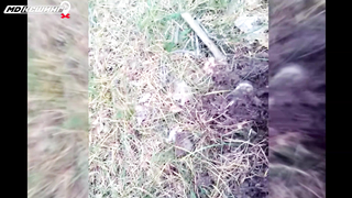 МДКЕШИНГ в Омске. Жетон найден!