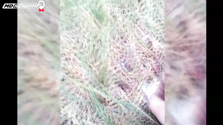 МДКЕШИНГ в Омске. Жетон найден!