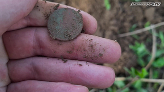 Добили клад чешуи с Minelab GPX 6000