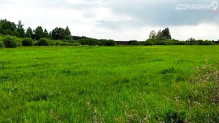 МДКЕШИНГ В Г. СТЕРЛИТАМАК 2021