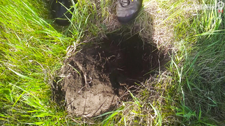 МДКЕШИНГ В Г. ОМСК 2021