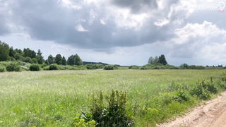 ПОИСК ЖЕТОНА В Г. СТЕРЛИТАМАК 2021