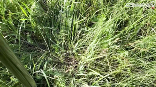 ПОИСК ЖЕТОНА В Г. СТЕРЛИТАМАК 2021