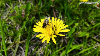 МДКЕШИНГ В Г. ТАМБОВ 2021