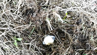 МДКЕШИНГ В Г. ТАМБОВ 2021