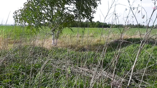 МДКЕШИНГ В Г. САРАНСК 2021