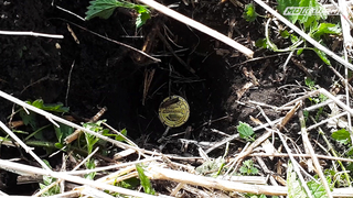 МДКЕШИНГ В Г. САРАНСК 2021