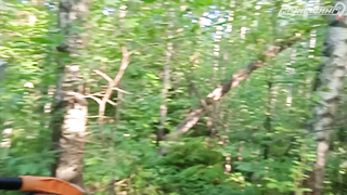 ПОИСК ЖЕТОНА В Г. НИЖНИЙ НОВГОРОД 2021