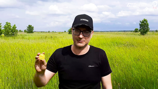 МДКЕШИНГ В Г. РОСТОВ-НА-ДОНУ 2021