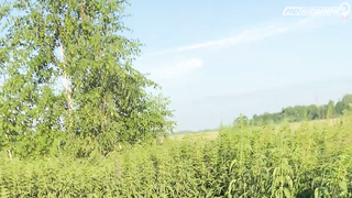 ПОИСК ЖЕТОНА В Г. САРАНСК 2021