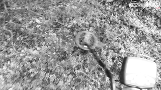 ПОИСК ЖЕТОНА В Г. СУРГУТ 2021