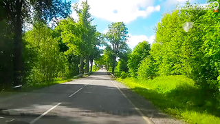 МДКЕШИНГ В Г. КАЛИНИНГРАД 2021