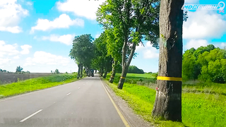 МДКЕШИНГ В Г. КАЛИНИНГРАД 2021